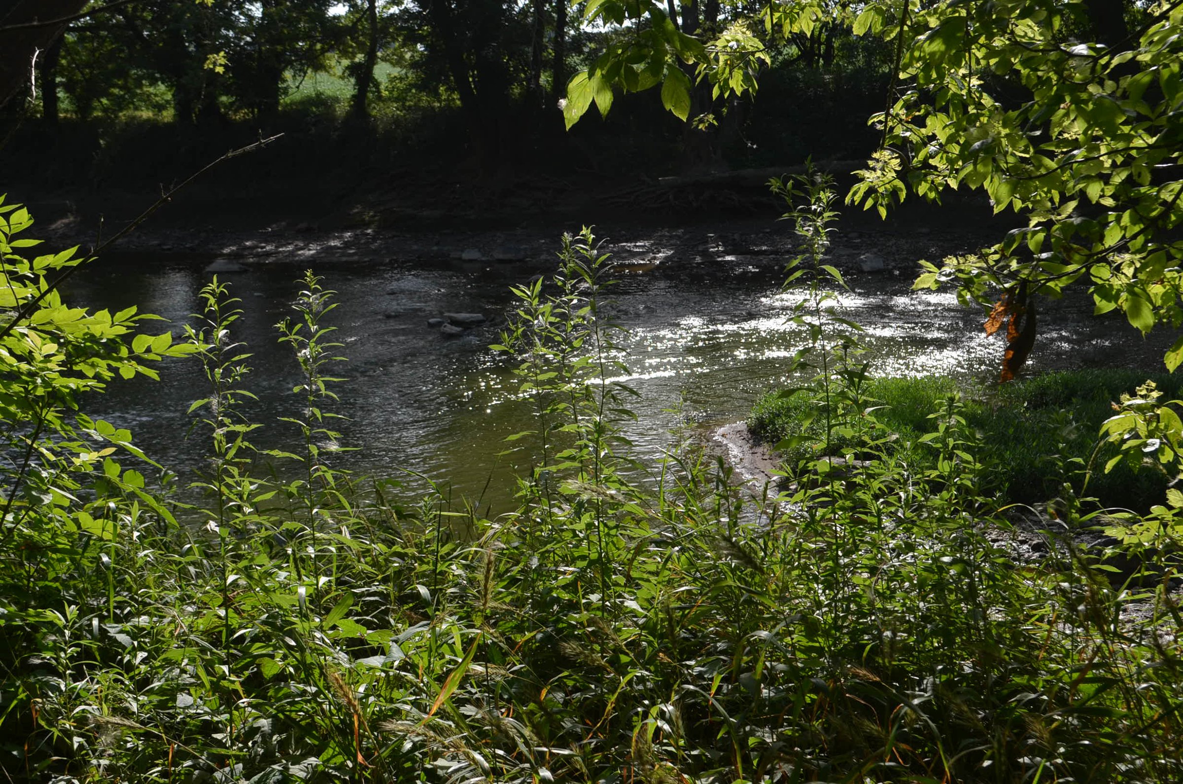 Property photo 30 - REAL ESTATE AUCTION - 26+/- ACRES IN 3 TRACTS IN SOUTHWEST ALLEN COUNTY, INDIANA